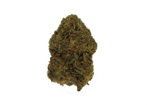 Delta 10 THC for Sale | Bulk & Premium Flower | CBD Hemp Direct