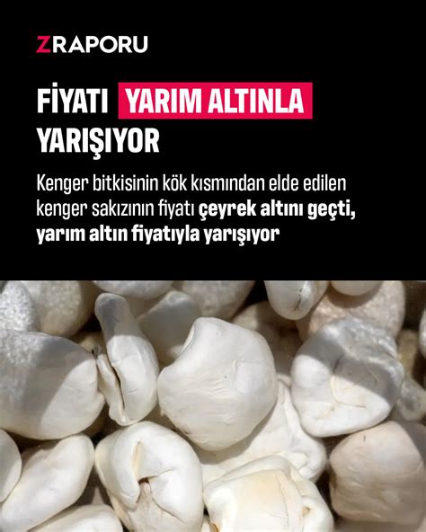 Kenger sakızının fiyatı yarım altınla yarışıyor