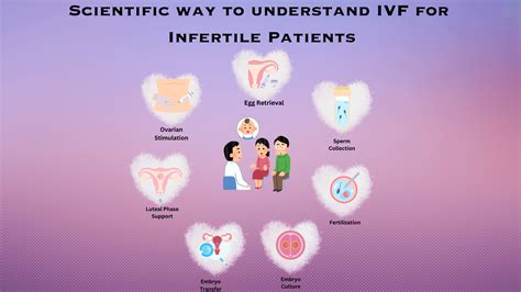 Scientific Way To Understand Ivf For Infertile Patients