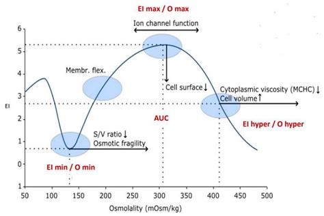 New Generation Ektacytometry Study Of Red Blood Cells In Different