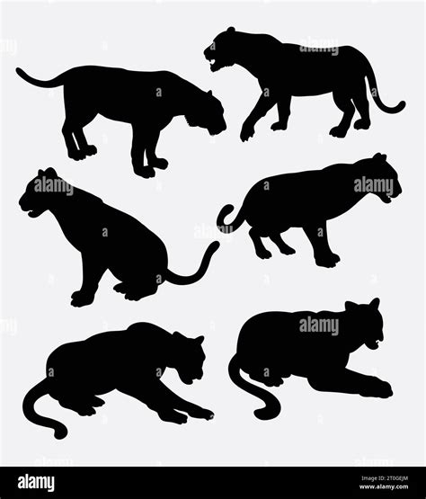 Female Panther Stock Vector Images Alamy