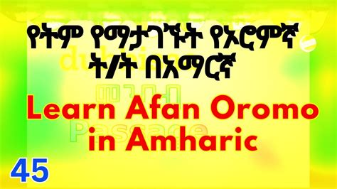 Learn Afan Oromo In Amharic የተለያየ ትርጉም የሚሰጡ የኦሮምኛ ቃላት Afaan Oromoo Afanoromo Learnenglish