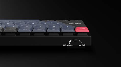 Keychron S1 QMK Custom Mechanical Keyboard – Keychron Hong Kong 