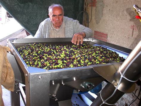 Huile Dolive Artisanale Au Moulin Des Perpetus Domaine Les Perpetus