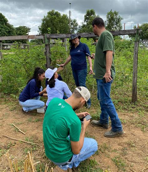 Unitins Alunos Aprendem Sobre Manejos Sustent Veis E Realizam Plantio