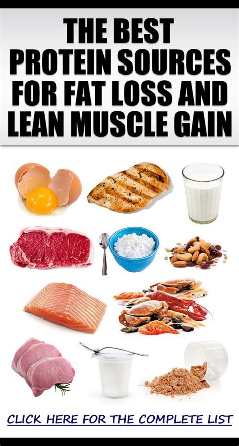 Foods That Help You Build Lean Muscle Best Foods For Weight Loss