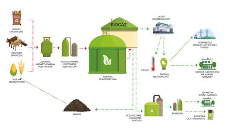 Schemat biogazowni jak działa instalacja