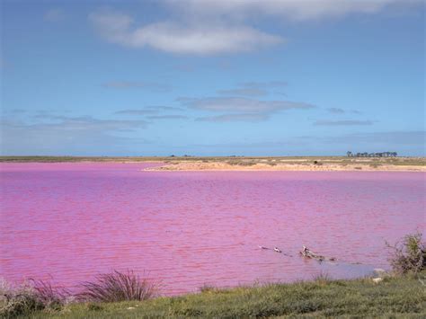 Adelaide Pink Lake South Australia - ScienceHUB