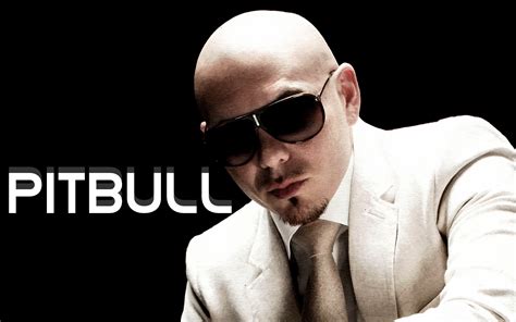 Pitbull Hip Hop Rap Rapper House Pop Wallpapers Hd Desktop And