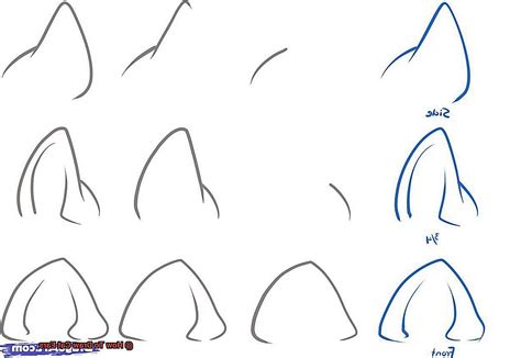 How To Draw Cat Ears 21Cats Org