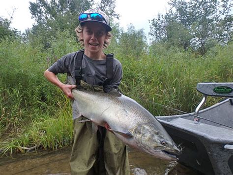 Salmon Gallery Streamside Au Sable River Fly Fishing Guides