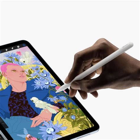 Купить Стилус Apple Pencil (2-го поколения), белый — цена, описание в ...