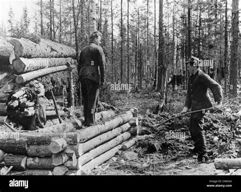 Segunda Guerra Mundial Batallas En Karelia Finlandia