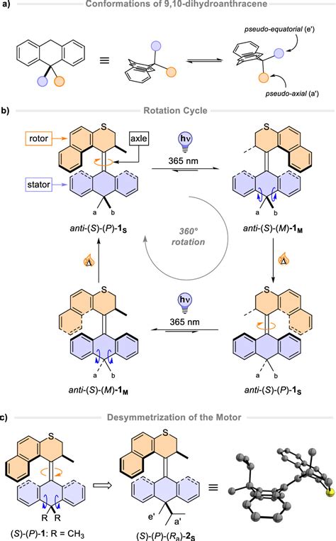 Coupled Rocking Motion In A Light Driven Rotary Molecular Motor The