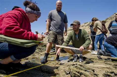 Starfish Mysteriously Disappearing Along The Pacific Coast Orange