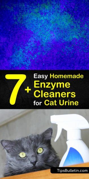 7 Easy Homemade Enzyme Cleaners For Cat Urine