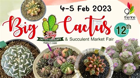 Garden พา Tour Big Cactus Succulents Fair 12 The nine Center