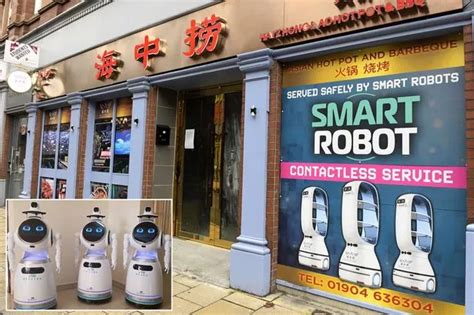 Sex Robots Coming In Include Build Your Own Doll And World Beating Learning Ai Daily Star