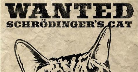Кот Шрёдингера | Пикабу