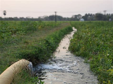 Razones para tratar las aguas agrícolas GC Tratamiento