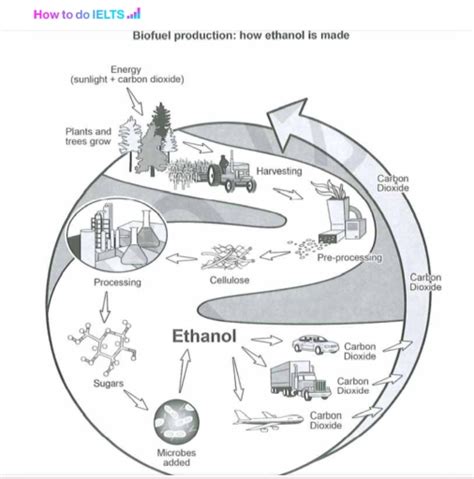 Band The Diagramm Below Show How A Biofuel Called Ethanol Is