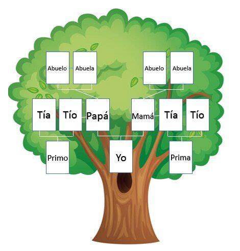 Cómo Hacer un Árbol Genealógico Paso a Paso en 2024 Arbol genealogico