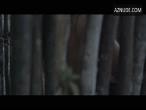 The Whistler Origins Nude Scenes Aznude