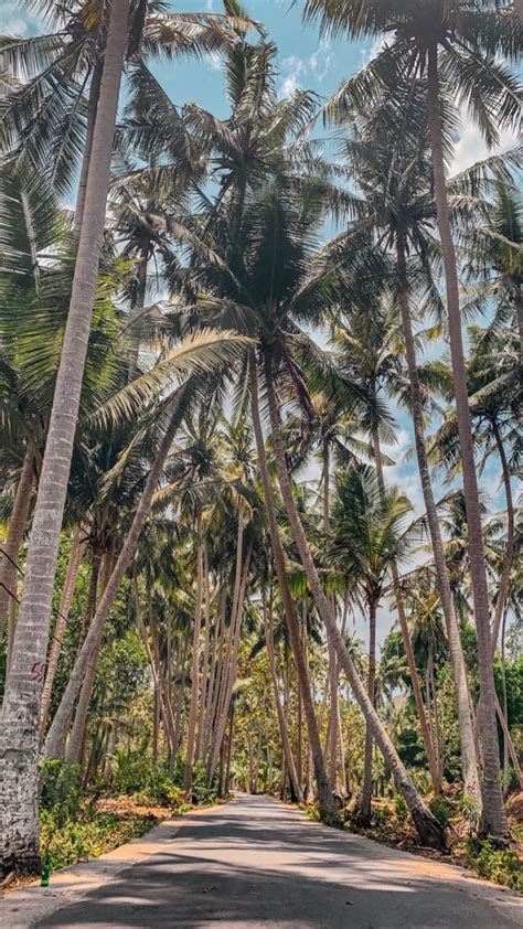 Magpupungko Rock Pools On Siargao Island Artofit