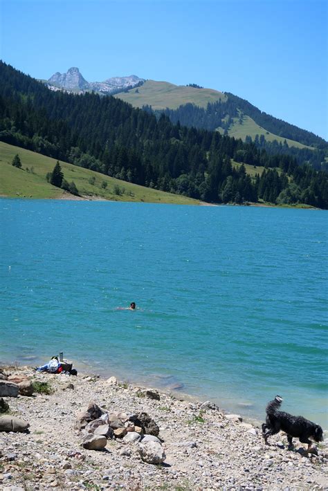 Lac De L Hongrin VD 1 255 M Baujahr 1969 Bergsee S Flickr