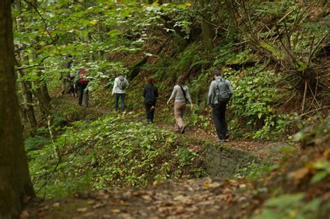 Escursioni Guidate Parco Nazionale Foreste Casentinesi