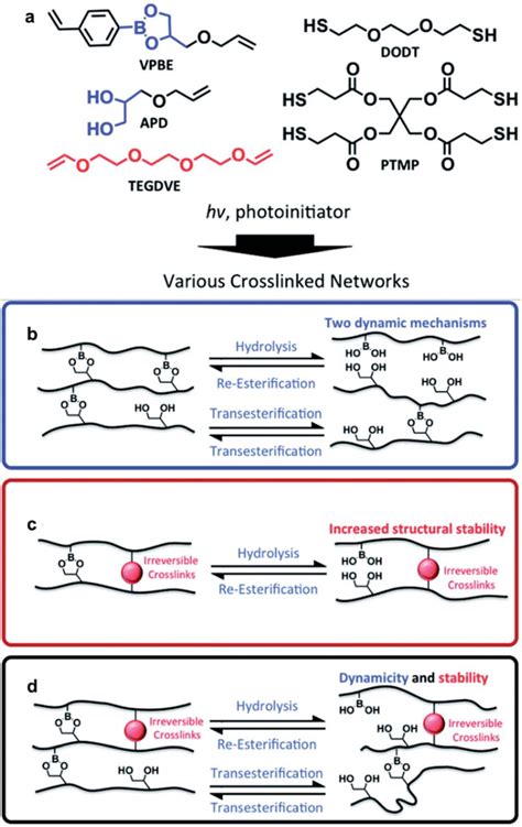 A Cross Linked Network Of Boronic Ester Prepared Via Photoinitiated