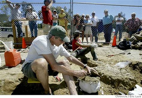 San Jose Mammoth Bones Draw A Crowd As Paleontologists Preserve Find