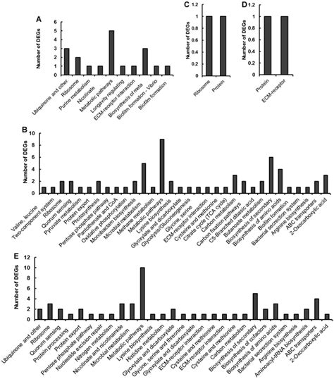 Sustainability Free Full Text Transcriptome Analysis Of Spirulina