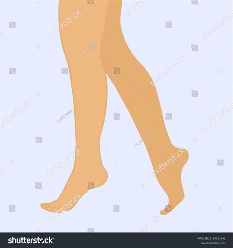 Beautiful Sexy Naked Legs Woman Girl Stock Vector Royalty Free Shutterstock