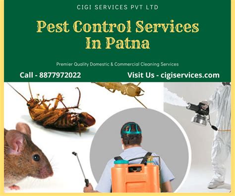 10 Top Pest Control Tips And Tricks To Keep Pests Away