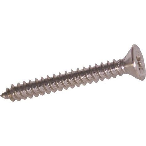 Full Thread Silver MS Self Tapping Screw At Rs 10 Piece In Amritsar