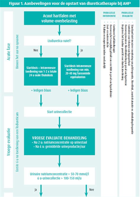 Evaluatie Van De Nierfunctie Bij Pati Nten Met Hartfalen Tijdschrift