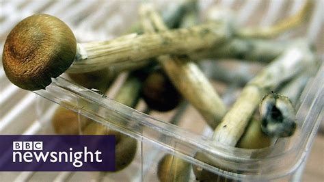 Exclusive Could Magic Mushrooms Treat Depression Bbc Newsnight Youtube