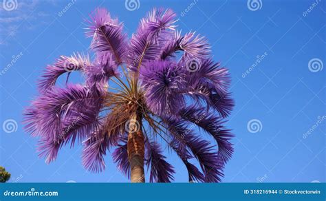 Tree Acai Palm Royalty-Free Cartoon | CartoonDealer.com #318216944