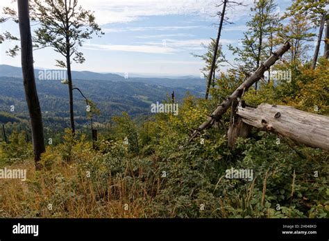 Approach To Malinowska Skala Peak In Szczyrk Poland Stock Photo Alamy