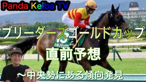 【ブリーダーズゴールドカップ】2022 直前予想〜パンダ競馬tv Youtube