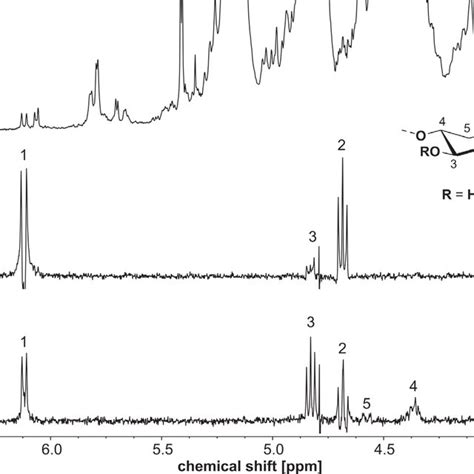 A 1 H NMR Spectrum Of Xylan Sulfate XS 2 And B Selective ROESY NMR