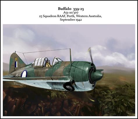 Buffalo F2a 339 23 Brewster Buffalo Aviation Art Royal Australian