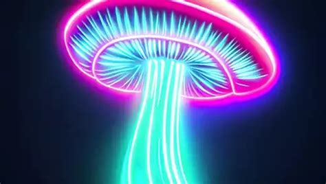 Gratis Aftrekken Gay Pornivideo S 2024 XHamster