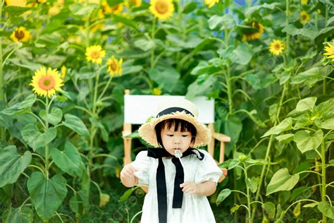 아이 아이 해바라기 소녀 저녁 소녀 야외 정면 사진 사진과 함께 사진 배경 아이 걸스 두 살 배경 일러스트 및 사진 무료