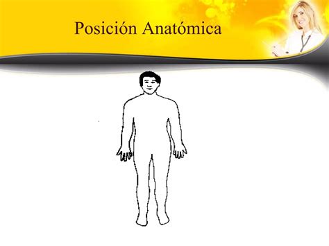 Posiciones Planos Regiones Y Cavidades Anatomicas Pptx