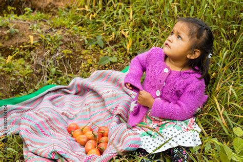 Niña latina campesina cosecha de Tomates frutos del campo niña en el campo agrícola latino
