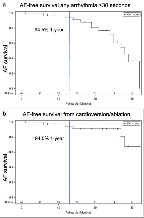 Kaplan Meier Curve Of Year Atrial Fibrillationfree Survival Af