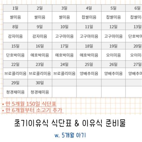 초기이유식 식단표 공유와 이유식 준비물 W5개월 아기 네이버 블로그