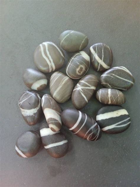 Pebbles Basalt With Quartz Veins Original Pebbles From Etsy